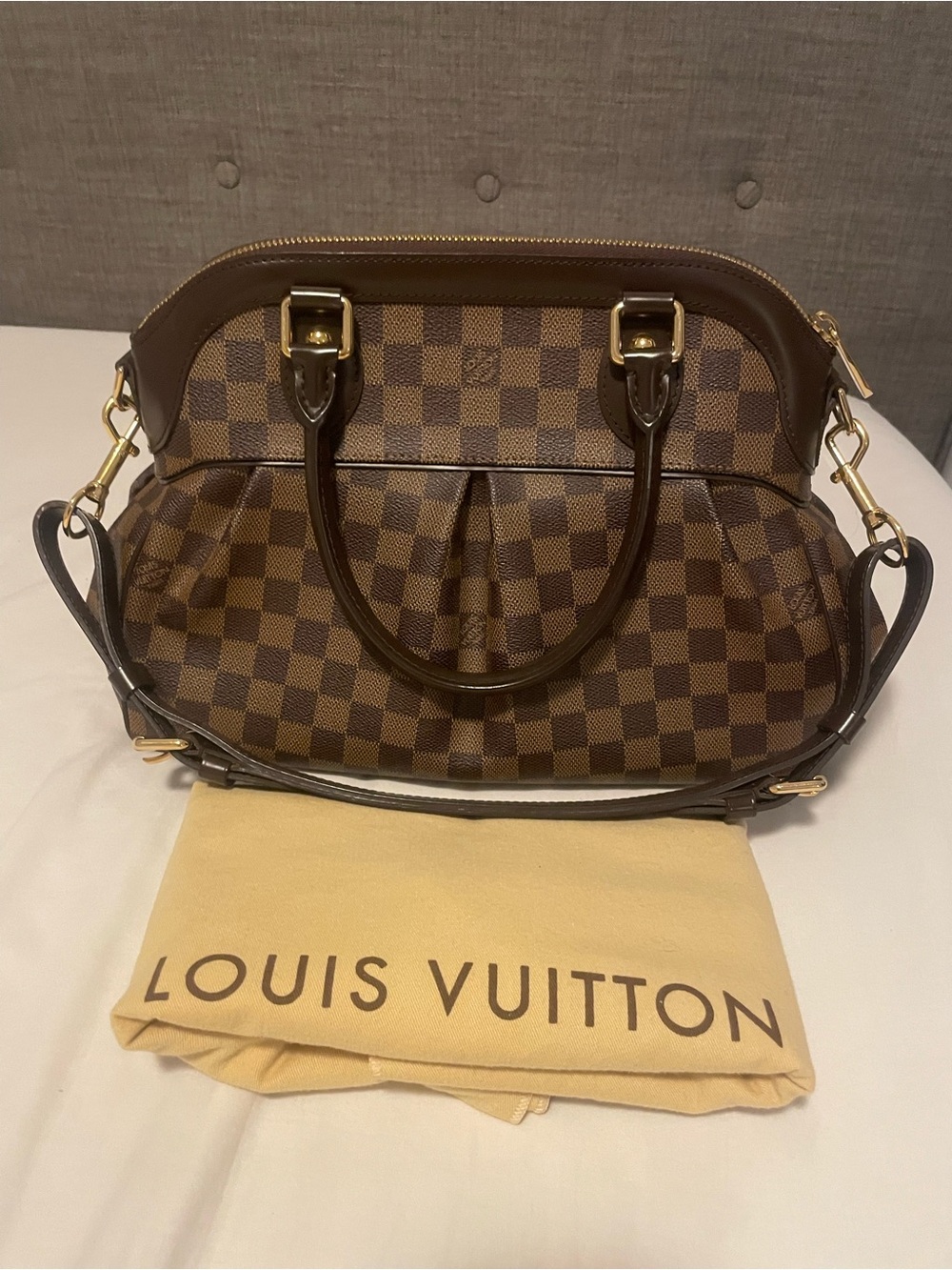 Louis Vuitton Trevi PM tote and shoulder bag